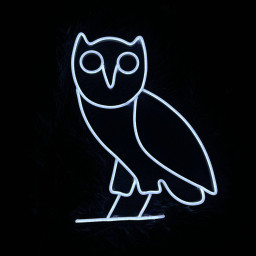 Owl Neon Sign Animal Art Wall Sign Decor