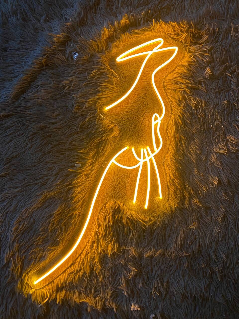 Cat Neon Signs Pet Lover Gifts