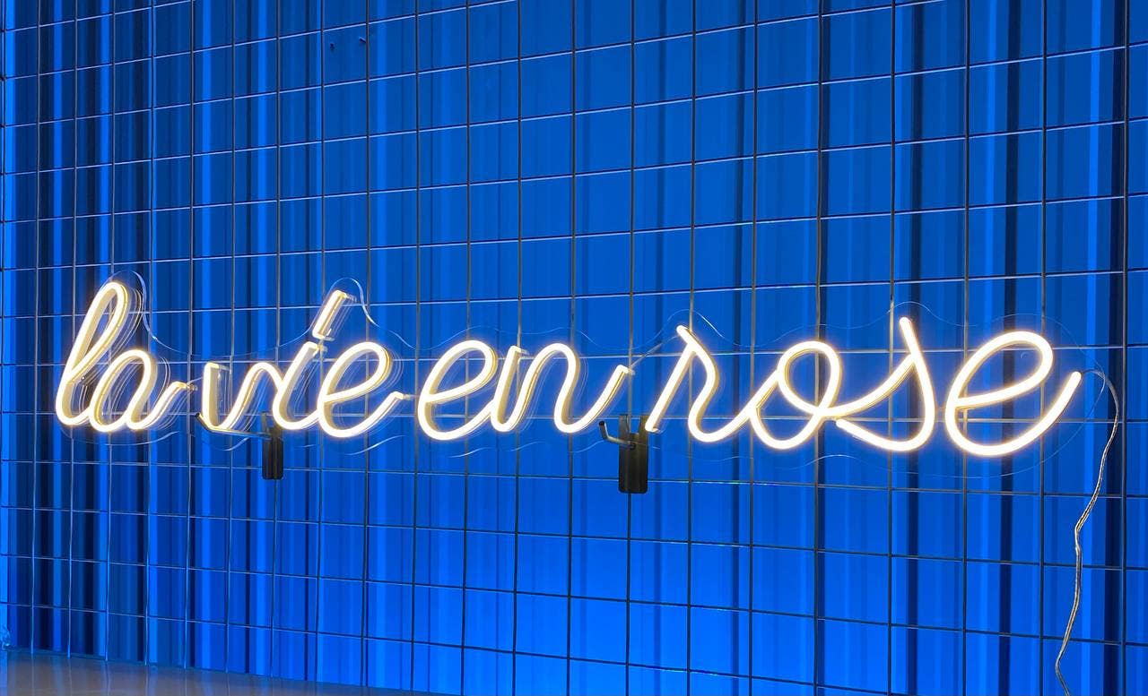La Vie En Rose Neon Sign Home Wall Decor