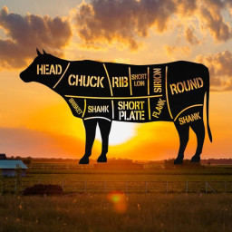 Cow Catlle Metal Farm Sign Monogram Custom Outdoor Indoor Coop Farmhouse Front Gate Entry Road Barn Silo Stable Wall Decor Art Gift