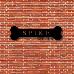 Custom Metal dog bone Sign, Dog Name Metal Sign, Personalized Pet Name Sign, Door Hanger, Outdoor Metal Sign, Gift for dog mom,Monogram Sign