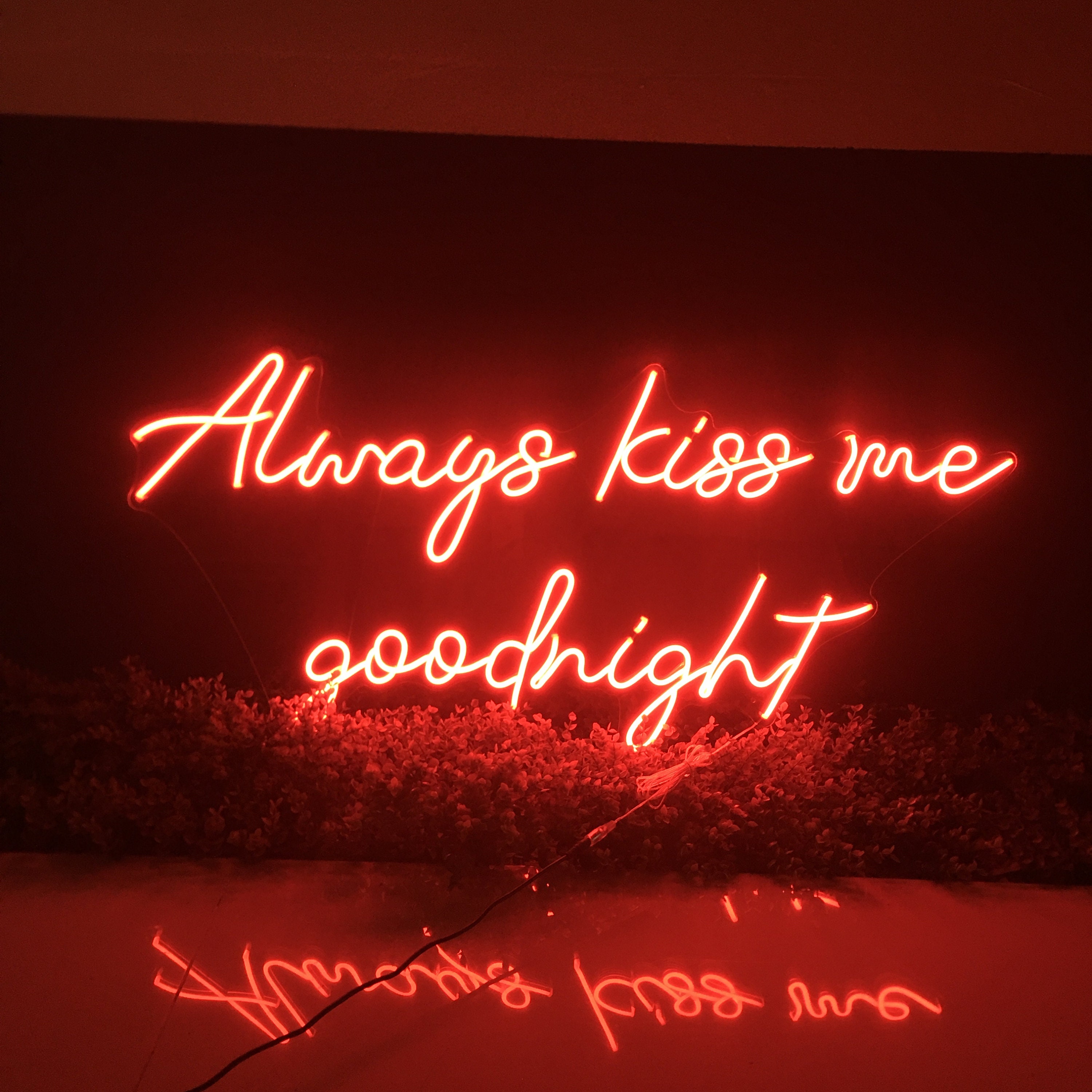 Always kiss me good night Neon Sign Bedroom Custom Neon Sign Wall Decor Night Light Customized Neon Sign Wedding Neon Sign Neon Howdy Sign