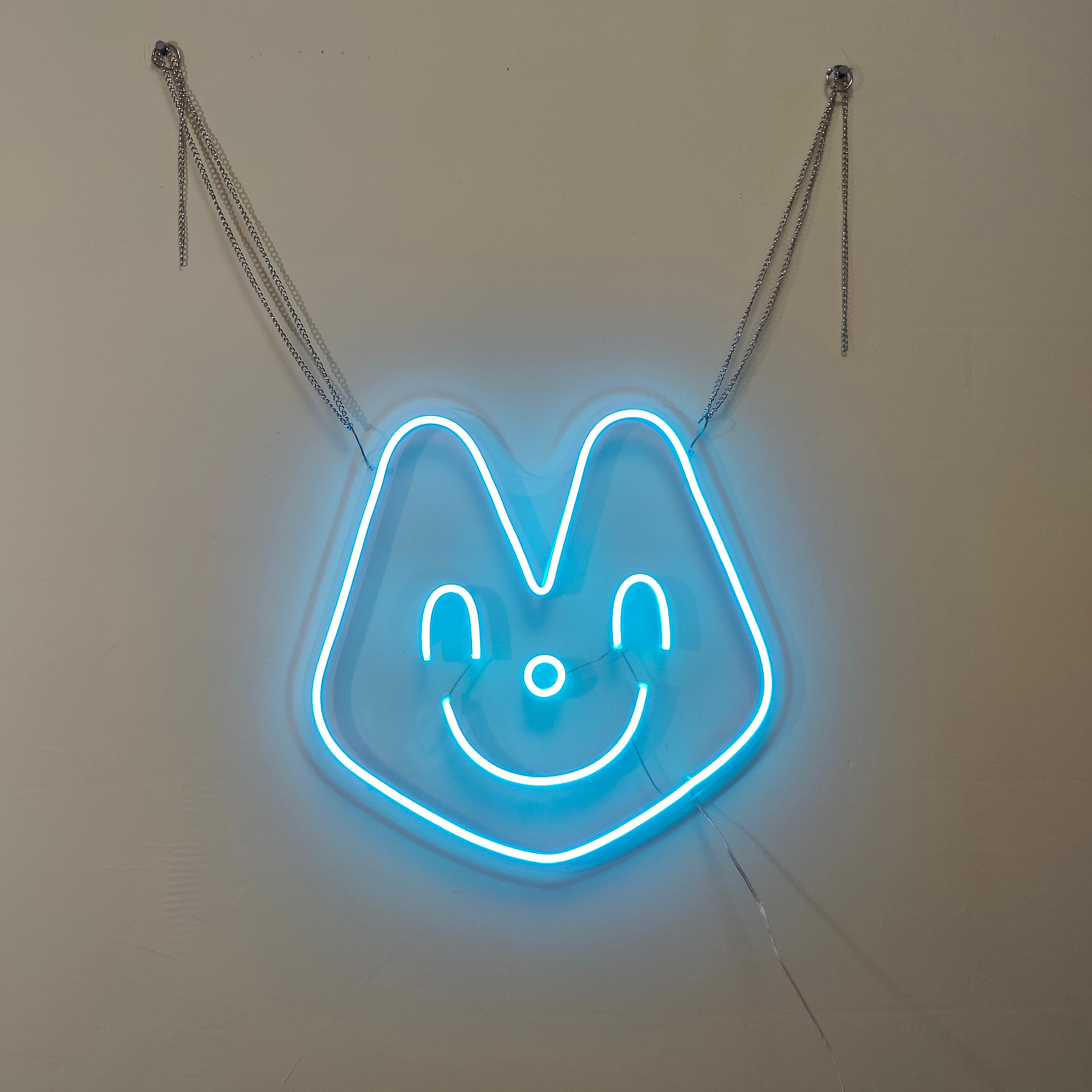 Custom Neon Sign Led Neon Sign Neon Name Sign Anime Neon Sign