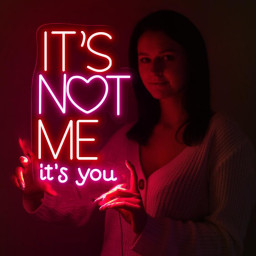 It's Not Me It's You Valentine Day Neon Sign, It's Not Me It's You Neon, Funny Valentine Neon, Valentine Day Women Gift, Happy Valentine Day
