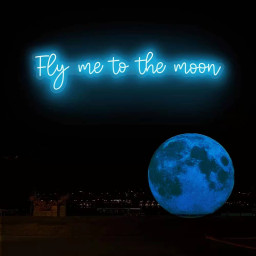 Fly me to the moon neon sign Personlized Led Neon Sign for Bachelor Party decor, Wall decor gift for child's birthday gift room decor