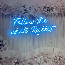 Follow the White Rabbit Neon Sign Custom Name Logo Led Light Home Decor Banner For Room Party Pub Birthday Gift Wed Decoration Acrylic Lamp