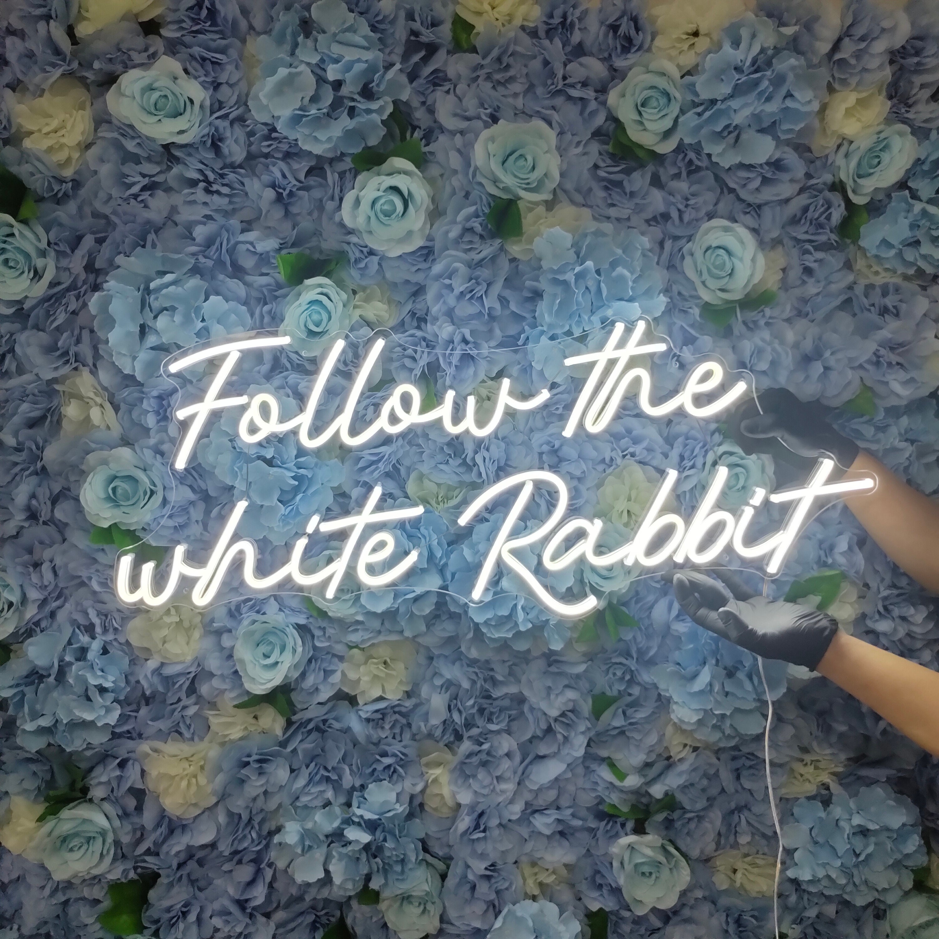 Follow the White Rabbit Neon Sign Custom Name Logo Led Light Home Decor Banner For Room Party Pub Birthday Gift Wed Decoration Acrylic Lamp