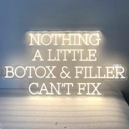 Nothing A Little Botox & Filler Can't Fix Sign, Custom Botox and Filler Sign for Injection Clinic, Medspa Decor, Beauty Aesthetics Wall Art
