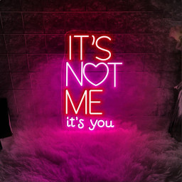 It's Not Me It's You Valentine Day Neon Sign, It's Not Me It's You Neon, Funny Valentine Neon, Valentine Day Women Gift, Happy Valentine Day