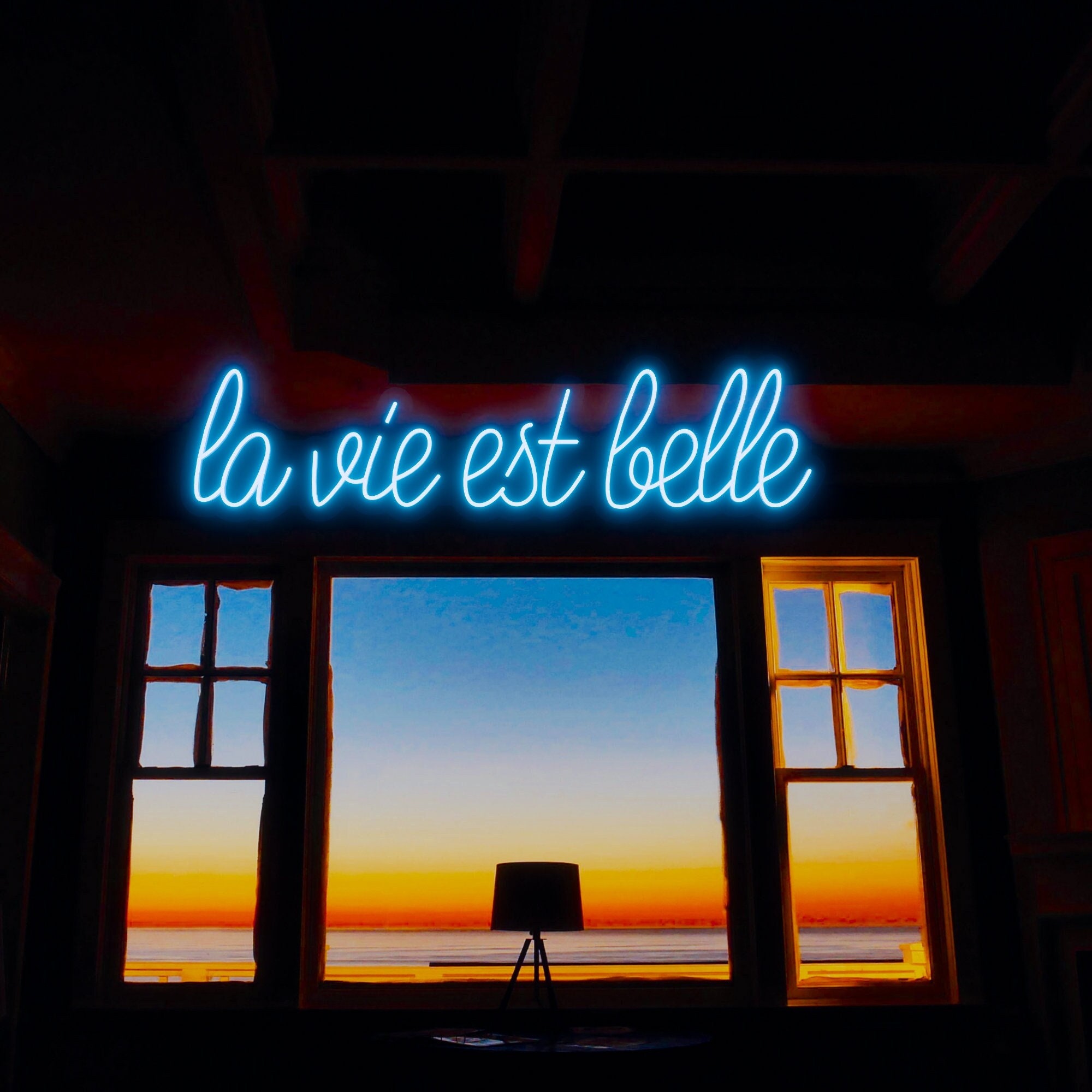 La Vie Est Belle neon sign, Party neon Light decor,led light,French expression neon light sign,Bedroom Rose Sign,Wedding Room Decor