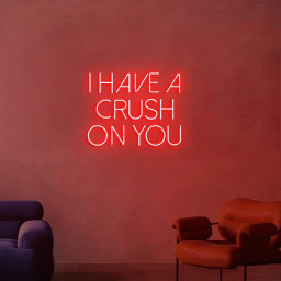 I Have Crush on You Neon Sign, Crush on you Sign, Custom Neon Sign Wall Decor, Red Light Neon Wall
