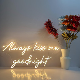 Always kiss me good night Neon Sign Bedroom Custom Neon Sign Wall Decor Night Light Customized Neon Sign Wedding Neon Sign Neon Howdy Sign