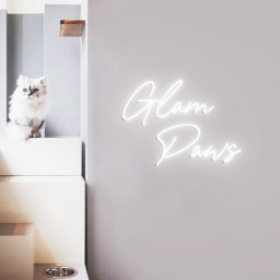 Glam Paws Neon Sign, Neon Lights for Pet Salon Wall, Dog Grooming Salon Decor Ideas, Neon Sign Display Grooming Dog Salon