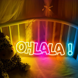 Ohlala LED Neon Sign, French Chic Wall Decor, Aesthetic Room Light, Modern LED Neon Art, Glamorous Decor for Home, Salon or Events