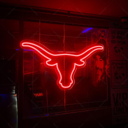 Longhorn Bull neon sign|Bull head led neon|Longhorn head skull light sign |Bull skull sign|Gift For Kids|Personalized Gifts|Texas Neon Sign
