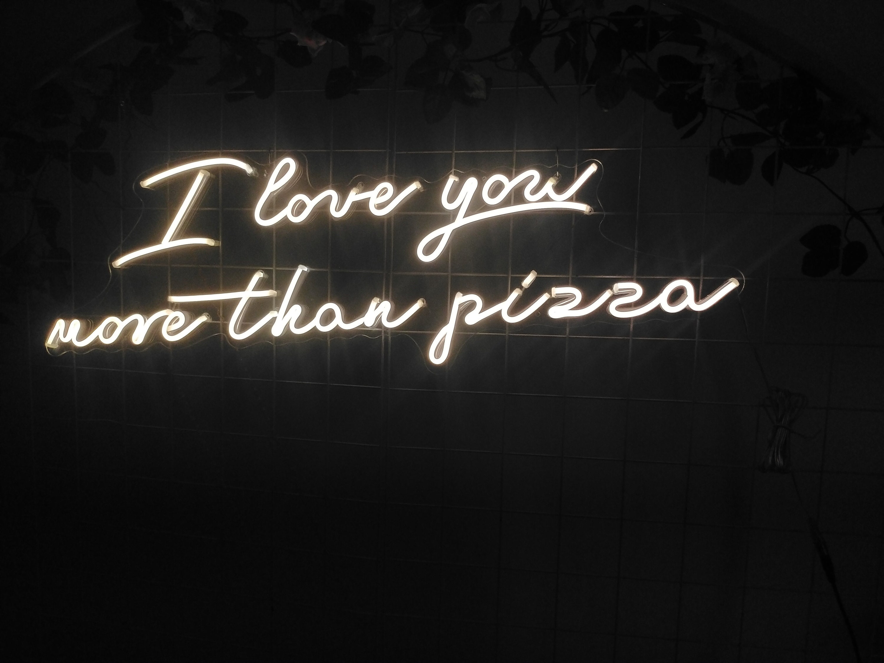 Custom Neon Sign I Love You More Than Pizza Neon Signs