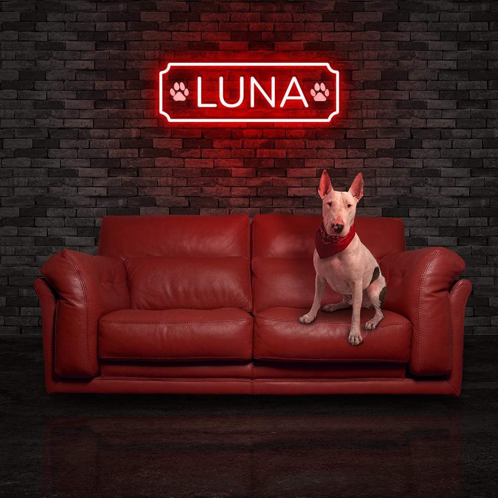 Personalized Neon Dogs, Pets Name Neon, Personalized Dog or Cat Name Plaque for Pet House, Crate, Kennel, or Feeding Area, Dog Lover Gifts
