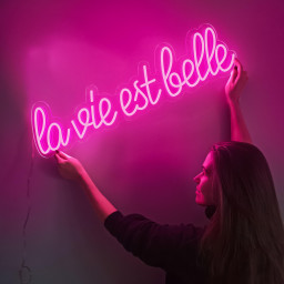 La Vie Est Belle neon sign, Party neon Light decor,led light,French expression neon light sign,Bedroom Rose Sign,Wedding Room Decor