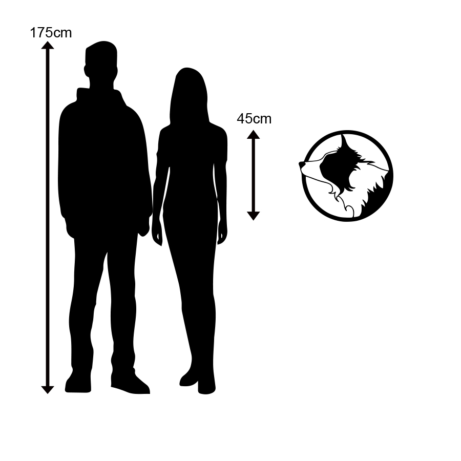 Border Collie Circle