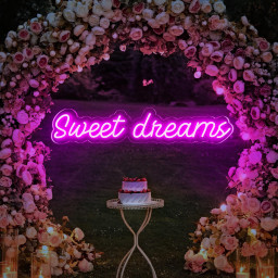 Sweet Dream Neon Sign Bedroom, Wall Art Night Light 3D Handmade Gift, Kid’s Room Home Decor,Neon Light Art,Bedroom Night Light