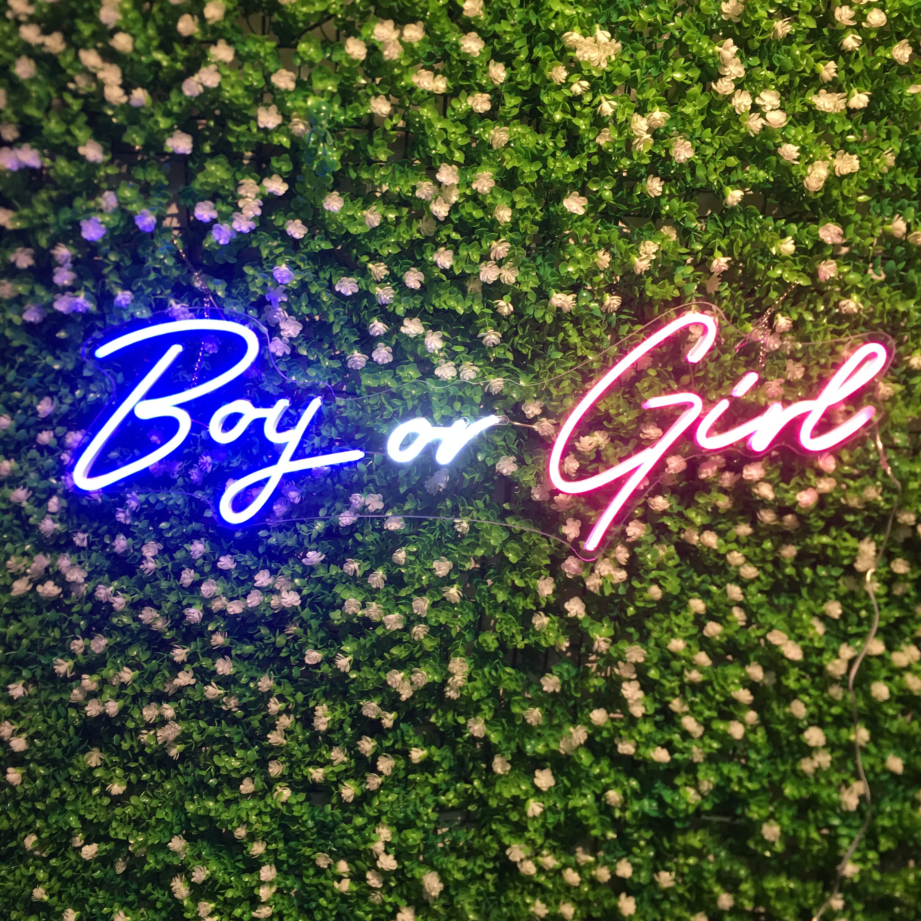 Boy or Girl Neon Signs Light Custom Baby Shower Gender Reveal Party Decoration Led For Home Room Birthday Supplies Neon Sign Wall Decor