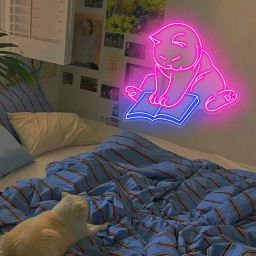 Cat Reading Book Neon Signs/Cat Wall Decor/Pet Lover Gifts For Kids/Custom Anime Neon Sign/Cute Cat Neon Signs/Pet Store Neon Sign