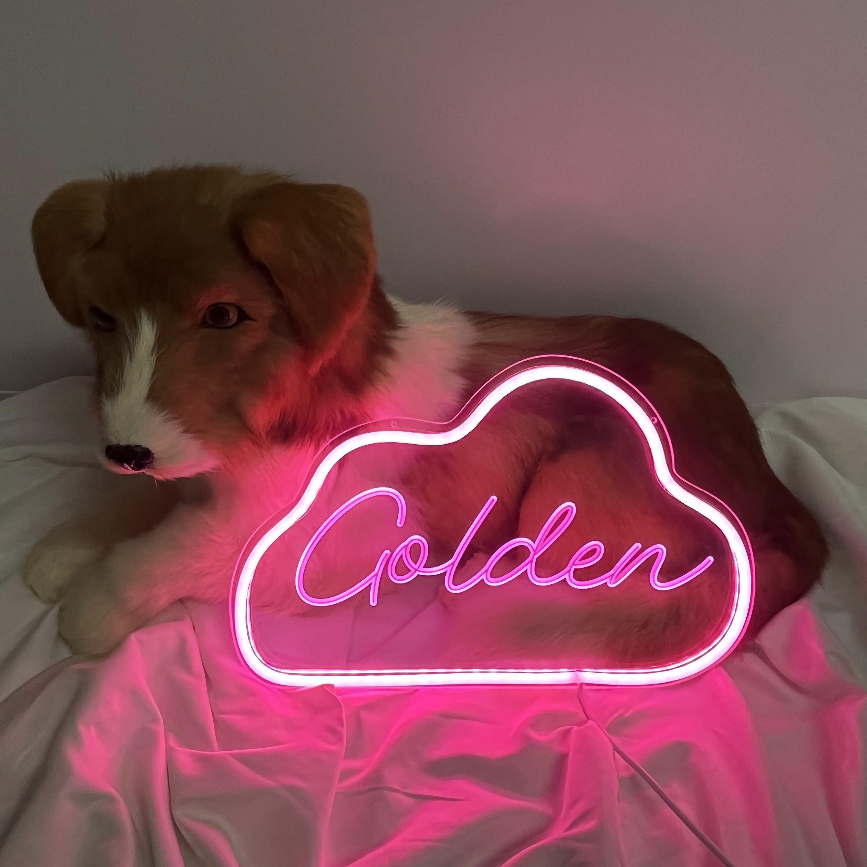 Neon Sign Name Custom Night Light USB Aesthetic Children Room Decor for Girl Boy Kids Bedroom Birthday Gift Led Lamp Anime Wall Home Cartoon