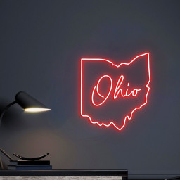 Ohio State Neon Light, Ohio Outline, Ohio Map Decor, Neon Light Sign Ohio State Sign, Ohio Gift