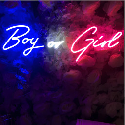 Boy or Girl Neon Signs Light Custom Baby Shower Gender Reveal Party Decoration Led For Home Room Birthday Supplies Neon Sign Wall Decor