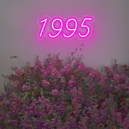 Number 1995 Neon Sign Birthday Party Event Decor, Number LED Light, Anniversary Day Sign, Wedding Neon Light, Birthday Table Decorations