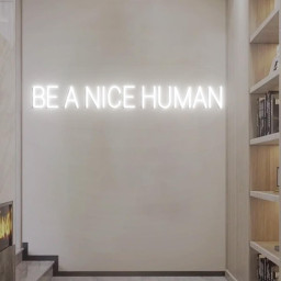Be a Nice Human Neon Sign, Be a nice Human Wall Decor, Custom Neon Sign Positive Quote Home Vibe Decor, Be Kindness Quote Sign