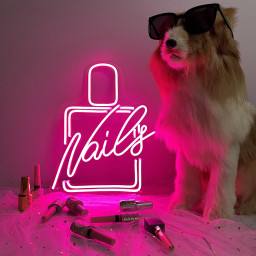 Neon Sign Custom , Neon Sign Nails Salon , Neon Sign Art , Neon Sign Bedroom , Neon Sign Bar , Neon Sign Shop Logo , Neon Light Signs Wall