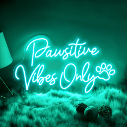 Pawsitive Vibes Only Neon Sign Cute Pet Lover LED Light, Dog and Cat Café Decor, Aesthetic Wall Art, Custom Neon Sign for Pet Owners