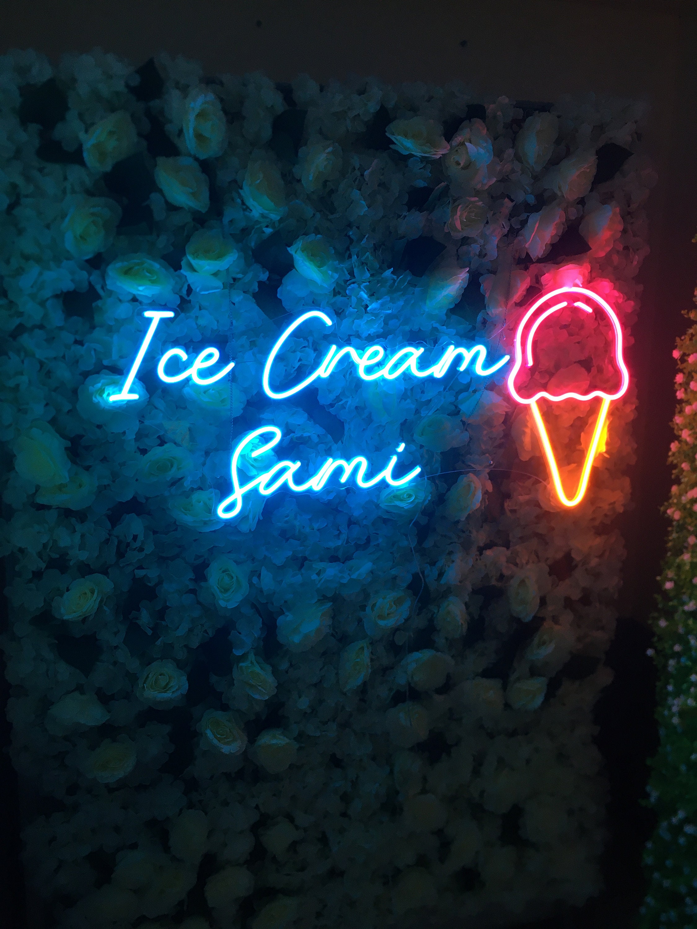 Ice Cream Neon Signs Light Custom For coffee Shop Store Pub Party Studio Personalized Wall Decor