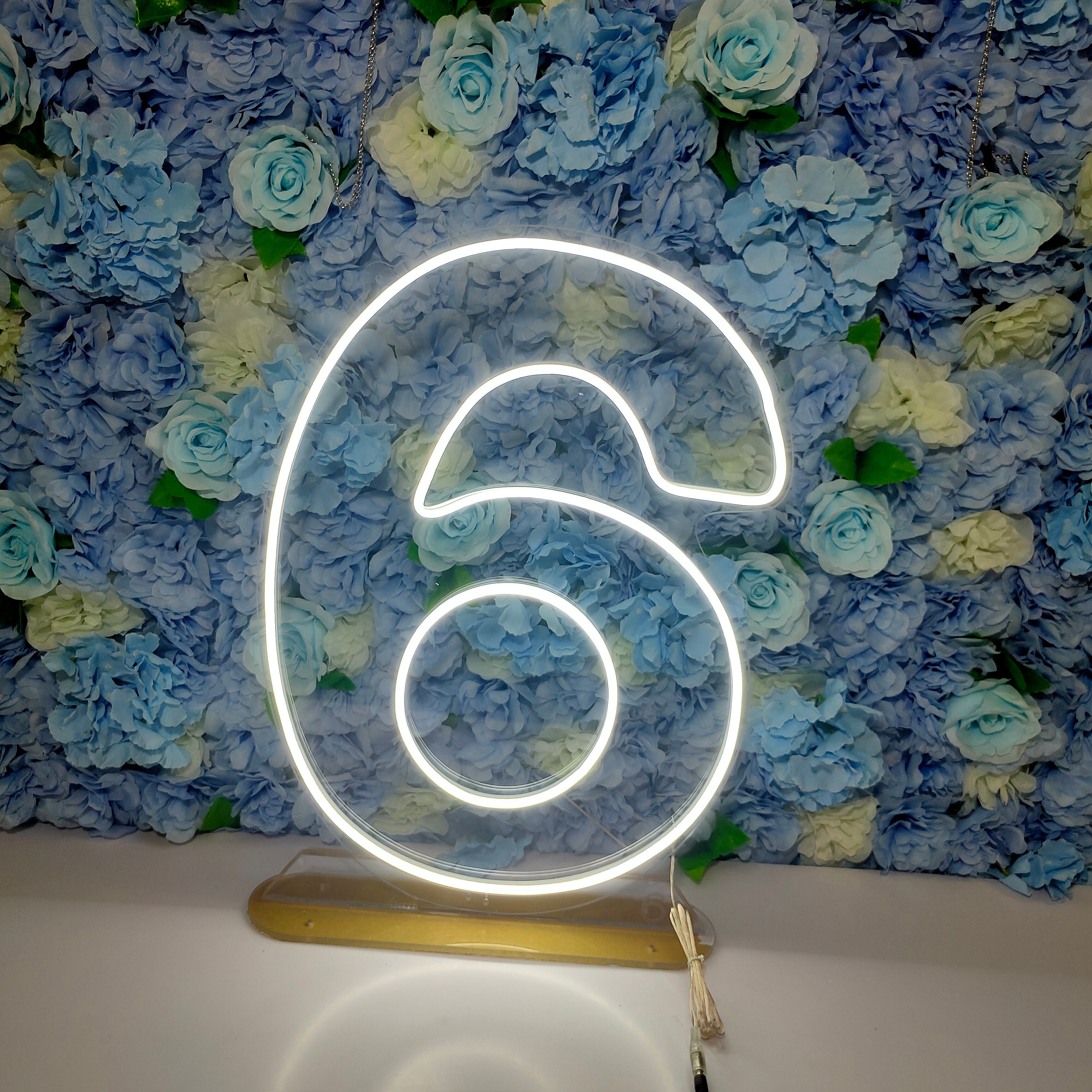 21 Neon Signs,Neon Sign Custom, Twenty One Birthday Decor ,Digital neon lights ,Birthday party event decoration , Room Wall Decoration