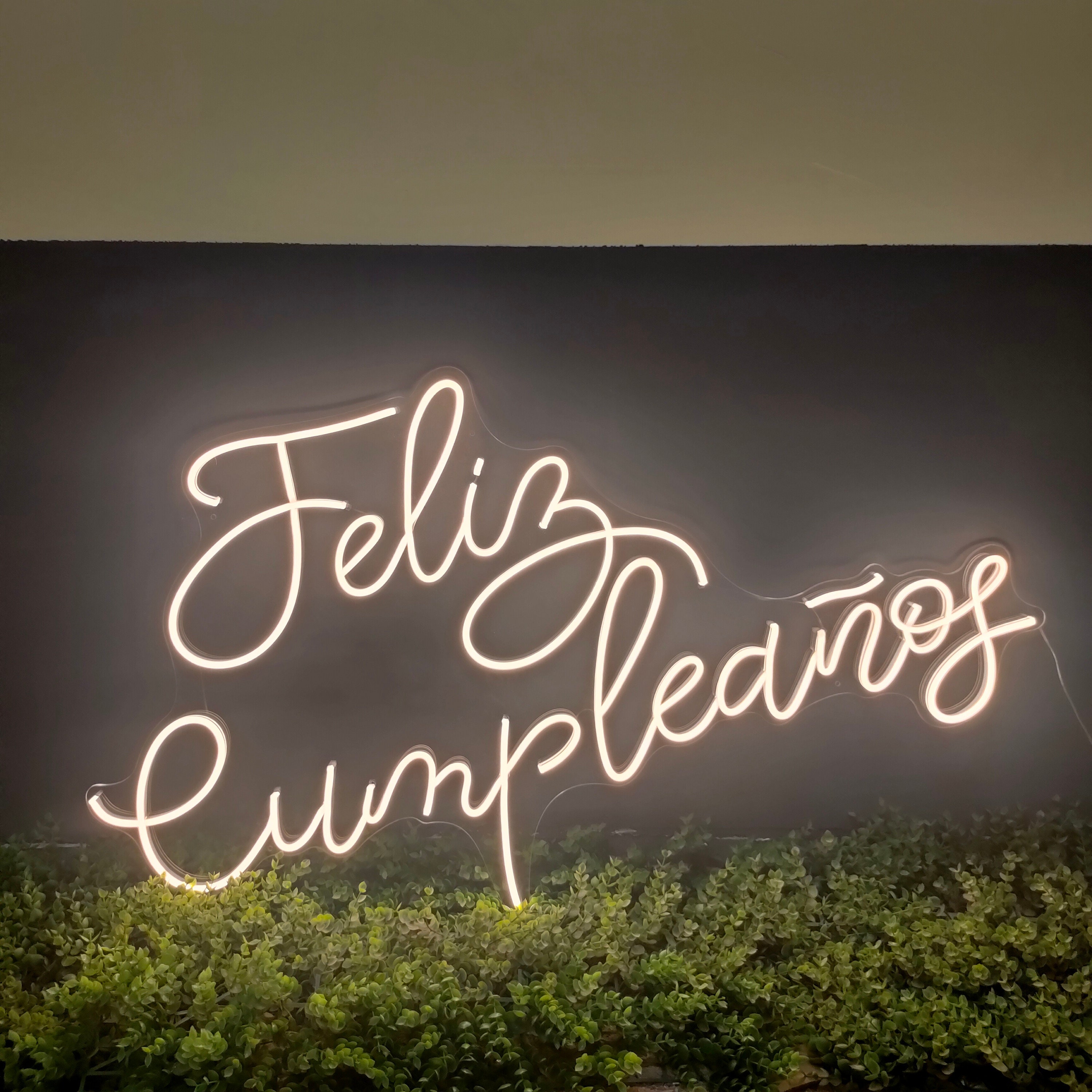 Custom Neon Sign Led Light French happy Birthday Decoration Wedding Decor For Party Home Bar Room Baby Shower Valentine Day Gift Wall Art