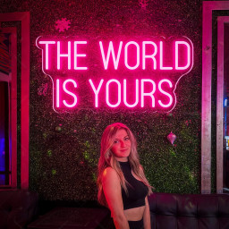 The World is Yours Neon Sign,Neon Wall Art ,Wedding Signs, Wall decoration Room Decor Handmade Sign Additional Price