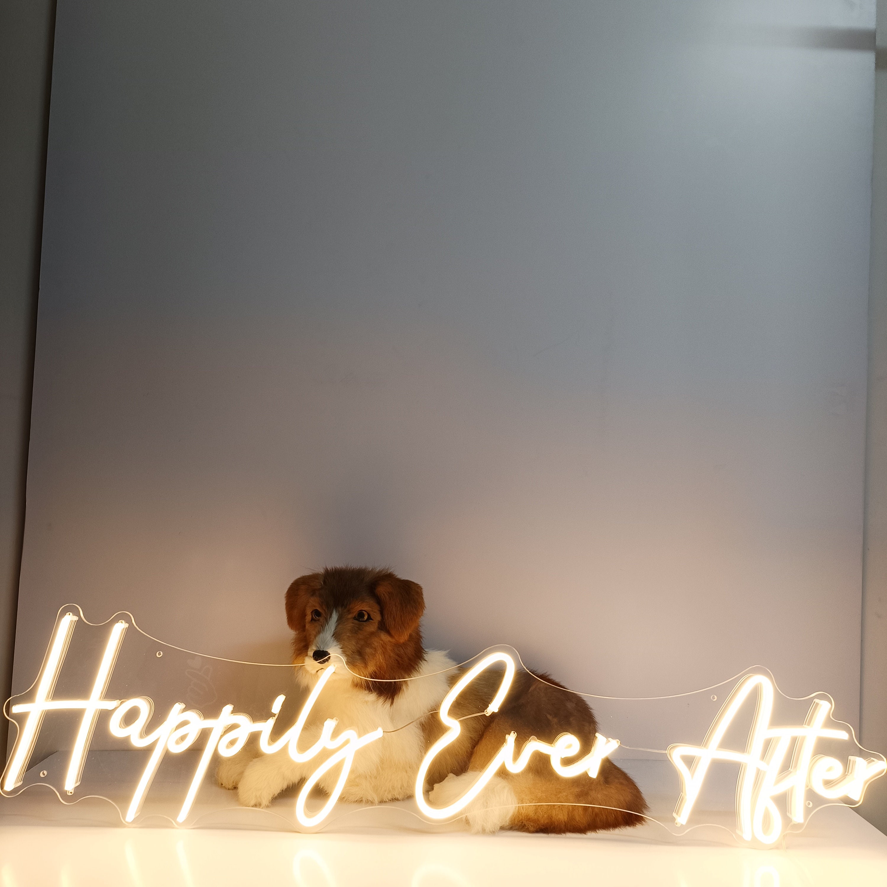 Neon Sign Custom | Neon Sign Happily Ever After | Wedding Neon Sign | Neon Sign Bedroom | Neon Sign Name Wall Decor | Neon Light Led Art