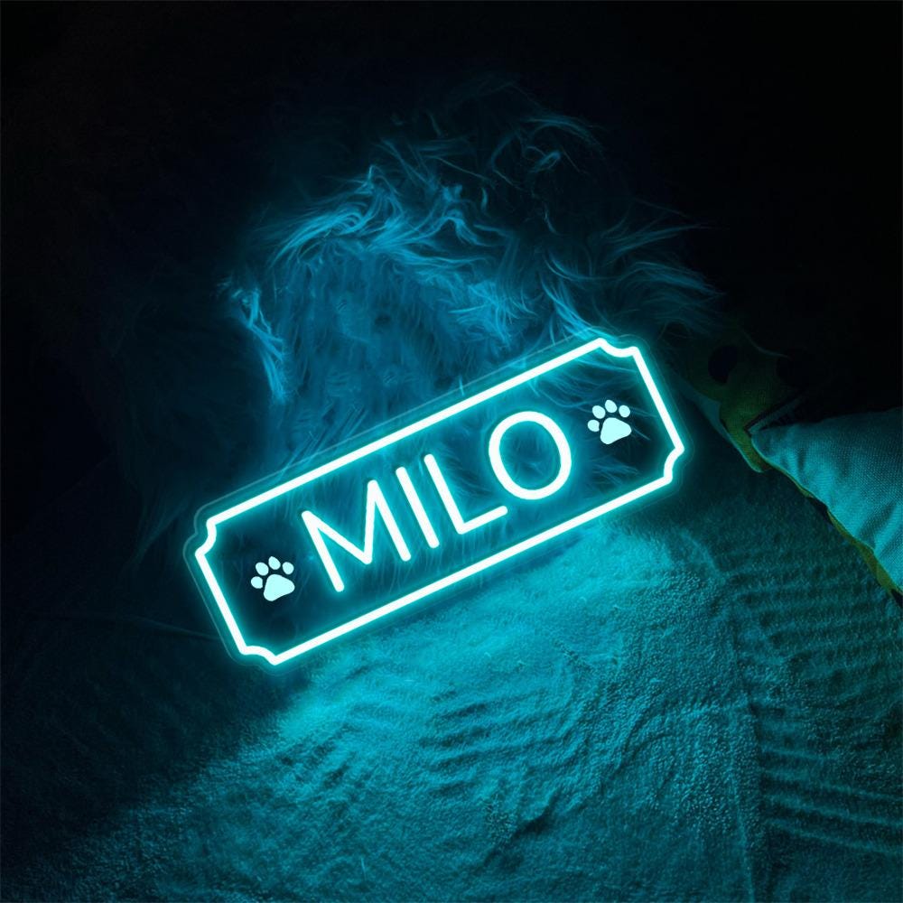Personalized Neon Dogs, Pets Name Neon, Personalized Dog or Cat Name Plaque for Pet House, Crate, Kennel, or Feeding Area, Dog Lover Gifts