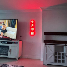 Japanese Neon Sign, Ikigai Japanese Art, Japanese Wall Decor, Japanese Definition Art, Japanese Kanji Word, Japanese Gift