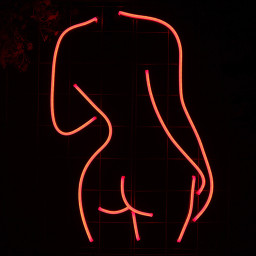Neon Sign Custom / Sexy Neon / Sexy Lady Neon Sign / Bar Decor / Wall Decor / Party Decoration / Body Art / Bedroom Decor