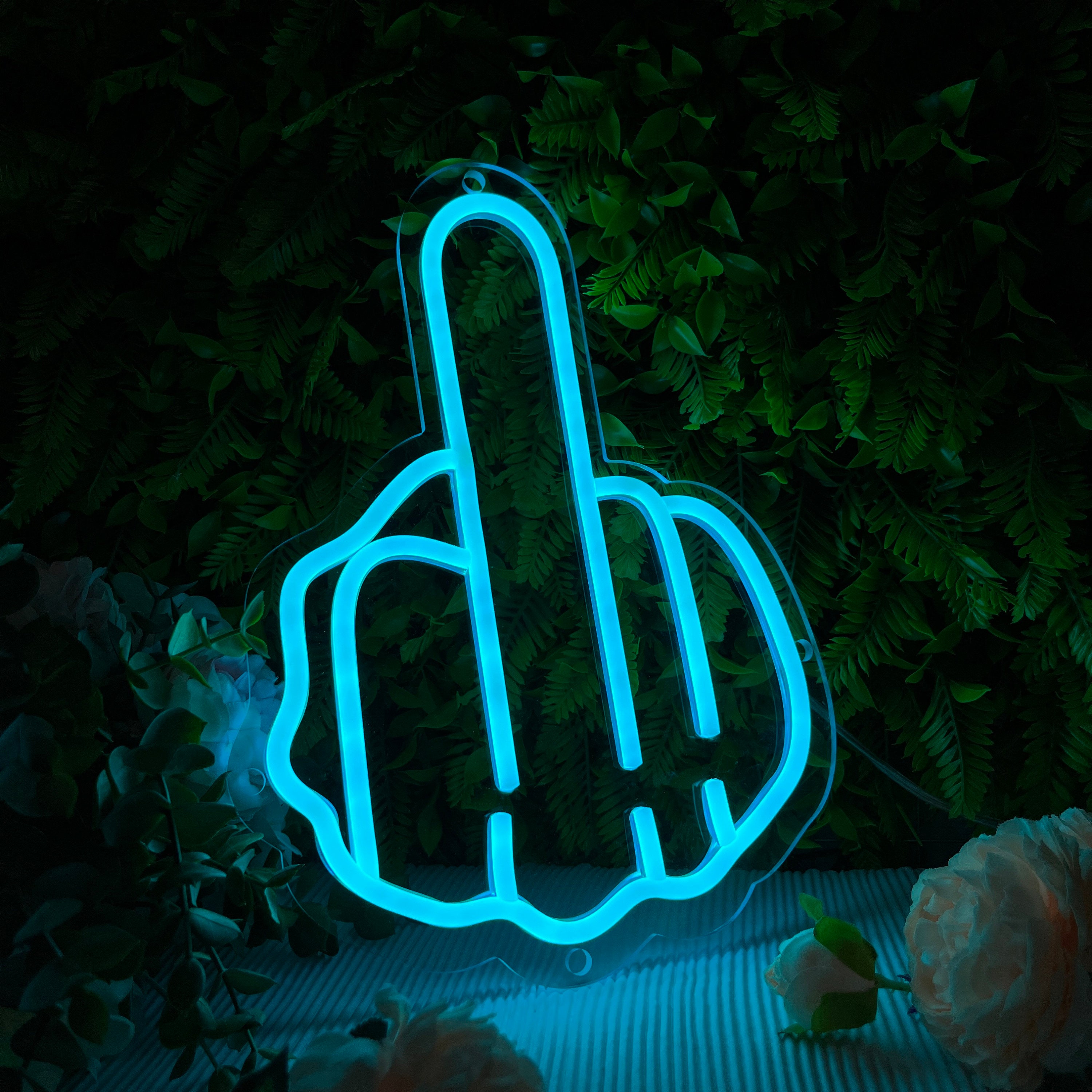 Middle finger Custom Neon Sign Lights Decor Game Room Wall, Decor Home Personalized Gifts From NeonArtists
