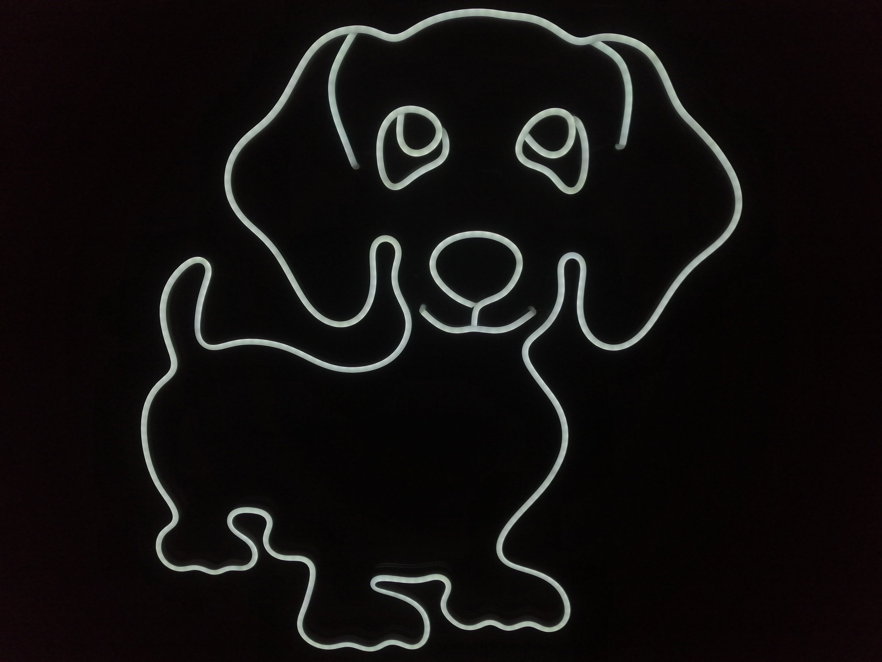 Dachshund Dog Pet Light Sign, Sign Lights for Wall and Bedroom, Night Plug in for Toddlers and Kids, Wall Mount, Bedroom Dog
