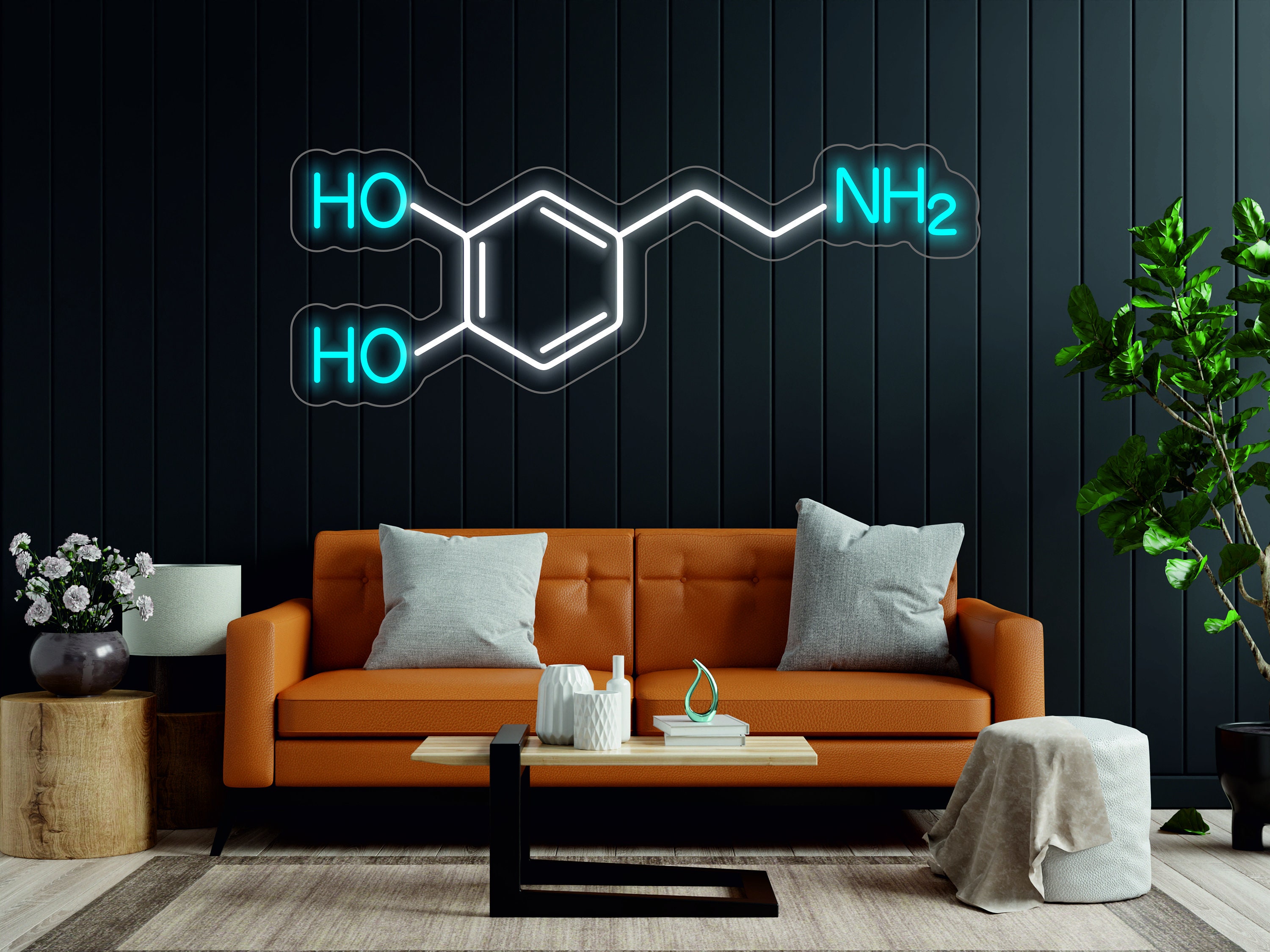 Molecule - LED Light Neon Sign Formula