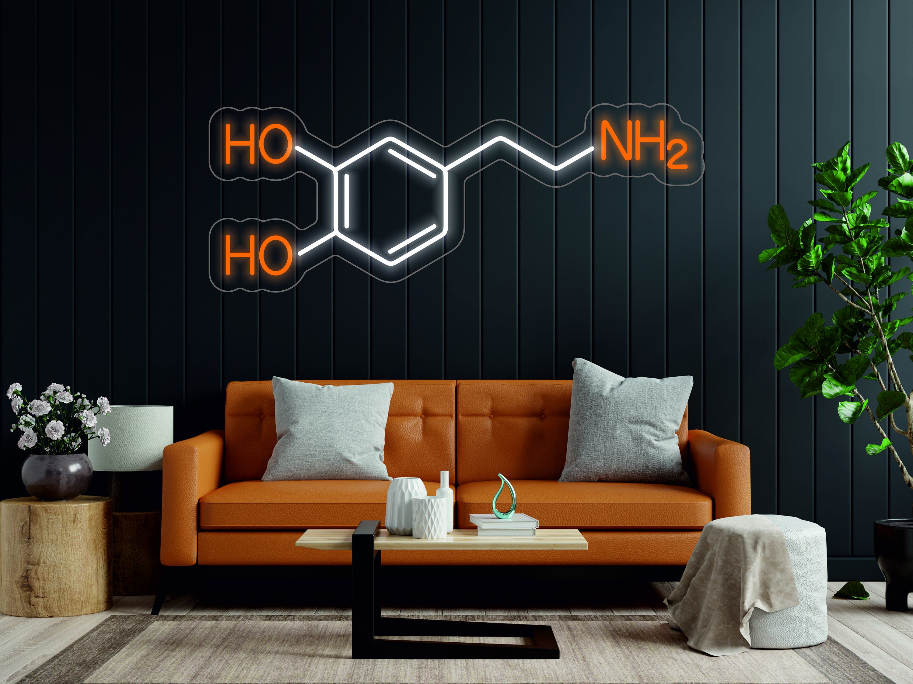 Molecule - LED Light Neon Sign Formula