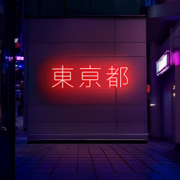Tokyo Neon Sign, Japanese Neon Sign, Tokyo Japan Sign, Tokyo Character Sign, Asian Neon Sign, Japanese Wall Art Decor, Tokyo Wall Art Decor