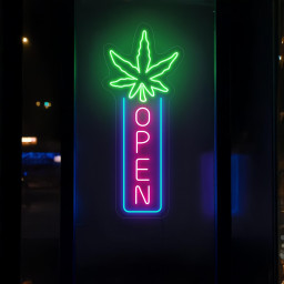 Cannabis Vertical Open Neon Sign, Marijuana Neon Sign, Weed Open Led Sign, Marijuana Shop Neon Sign, Cannabis Art Decor, Marijuana Art Decor