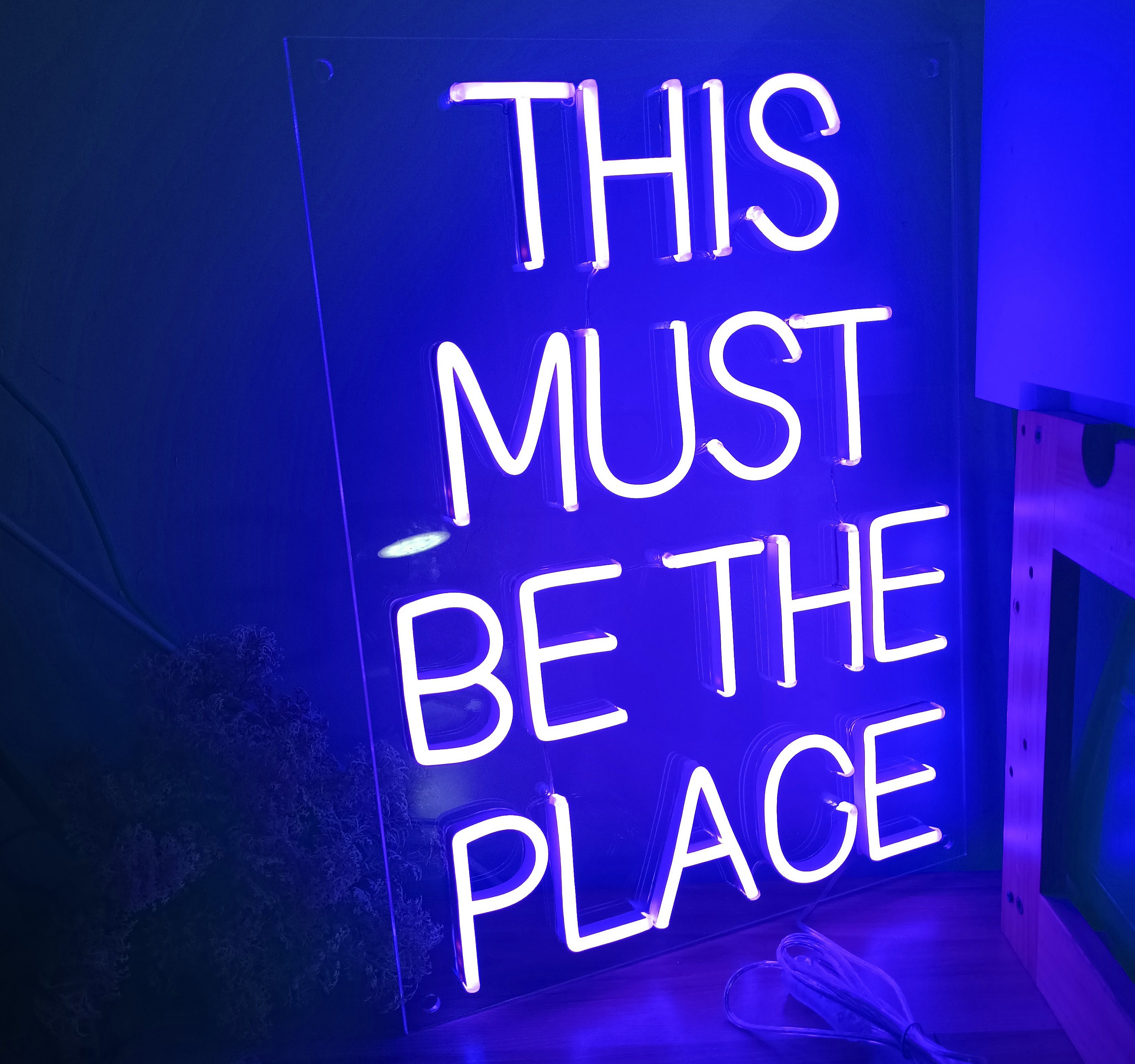 The Must Be The Place Neon Sign, Quote Neon Sign, Custom Neon Signs For Home