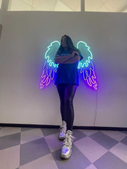 Angel Wings Wall Decor - Led Light Wings, Neon Angel Wings, Glowing Wings, Custom Led Wings