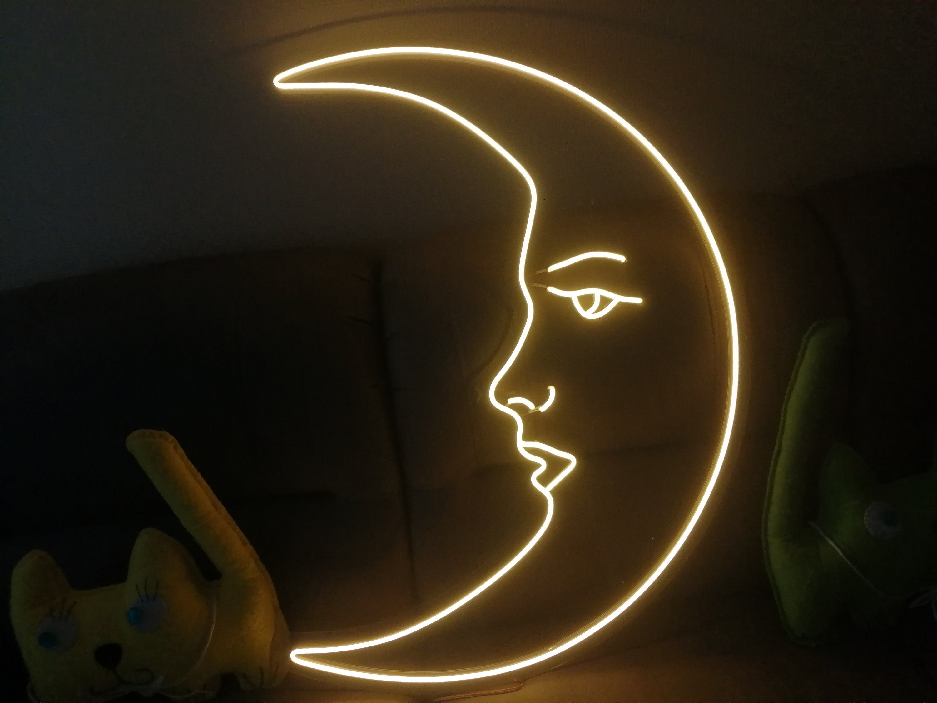 Moon Neon Sign, Moon Neon Light Sign, Moon Neon Light, Neon Wall Art, Handmade Neon Sign, Room Decor Neon Sign
